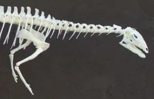 Dryosaurus2 индустрия 3D-печати Dryosaurus2 индустрия 3D-печати