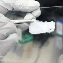Соска TeVido Bioprinting & Ткань молочной железы