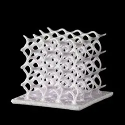 Генеральный директор EOS инвестирует в Lithoz Ceramic 3DP