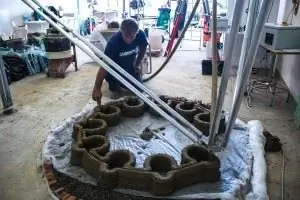 оса большая дельта оса большая дельта