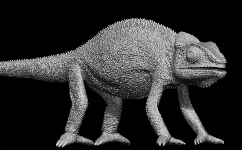 3D модель Хамелеонтело 3D модель Хамелеонтело
