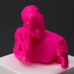 3D-печатные селфи селфи о себе