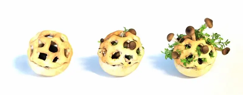 three_stages fud 3д печатная еда three_stages fud 3д печатная еда