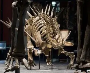 динозавры 3d печать ТУ Берлин динозавры 3d печать ТУ Берлин