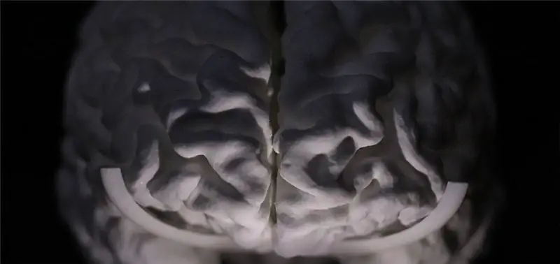 3D-печать brainform_front 3D-печать brainform_front