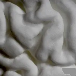 3D-печатные копии мозга