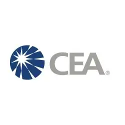 CEA находит рост, $$$ в потребительском 3DP
