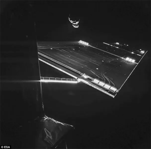 3D печать крыла розетты 3D печать крыла розетты