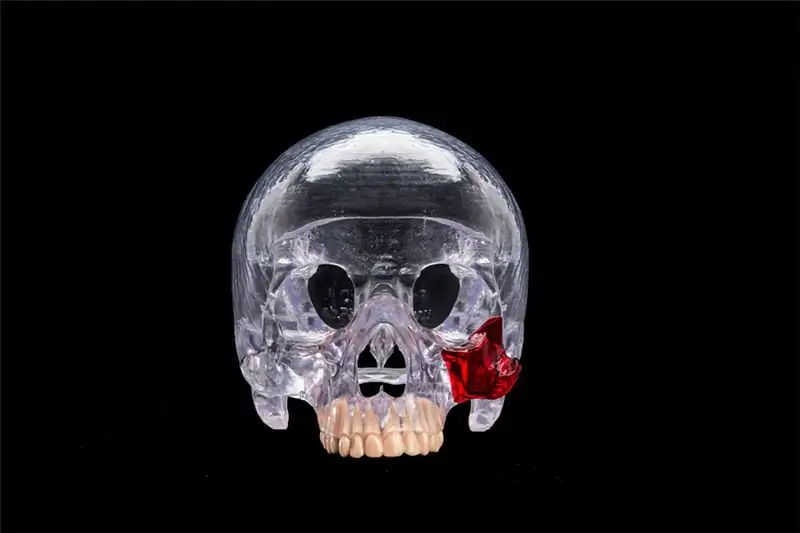 Череп, напечатанный на 3D-принтере от prodways Череп, напечатанный на 3D-принтере от prodways