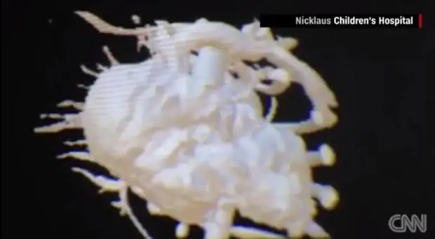 3D-моделирование сердца Тигана с помощью Google Cardboard