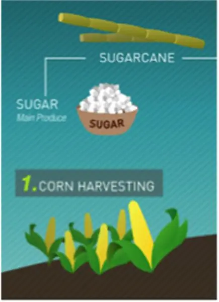 Selfeco: Green Design, Массачусетский технологический институт - Институт дизайна Процесс PLA для 3D-печати, шаг 1