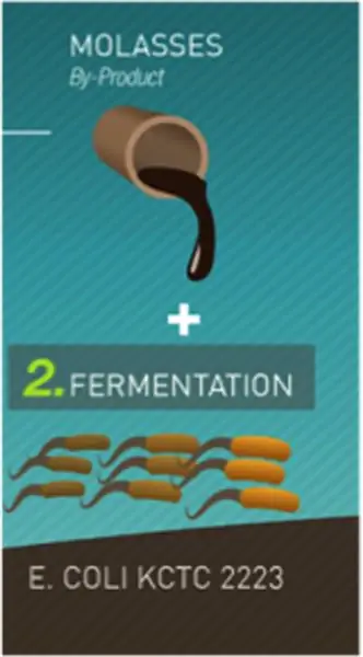 Selfeco: Green Design, Массачусетский технологический институт - Институт дизайна Процесс PLA для 3D-печати, шаг 2