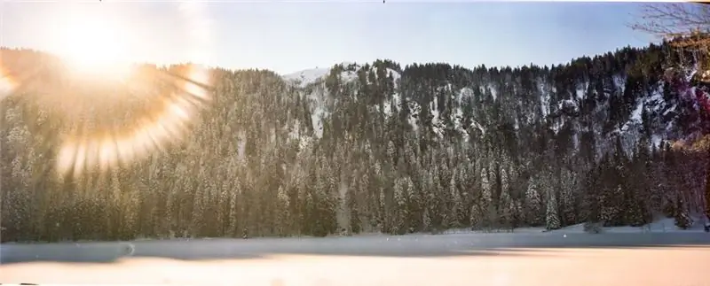 Пример фотографии циклоптического горчичного монстра.