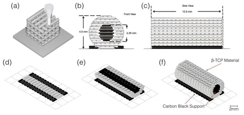 3D-дизайн костных имплантатов/каркасов Нью-Йоркского университета.