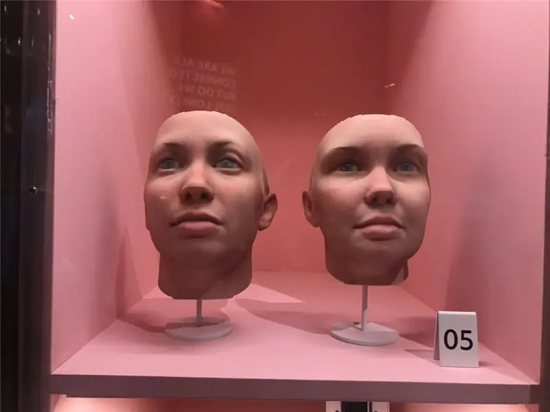 Радикальная любовь: портреты активистки Челси Мэннинг, напечатанные на 3D-принтере художницей Хизер Дьюи-Хагборг.