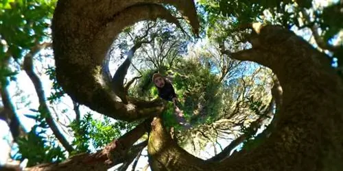 Фотография сделана объективом 360°.