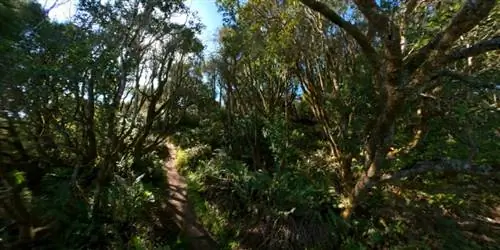 Фотография сделана объективом 360°.