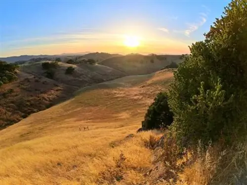 Фотография сделана с помощью объектива Boost в режиме HDR.