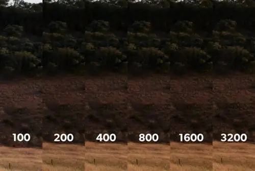 ISO 100 против 3200 в сравнении.