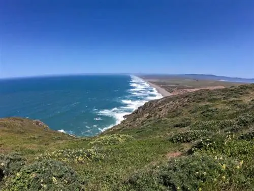 Снято с помощью объектива Boost в сверхширокой перспективе.