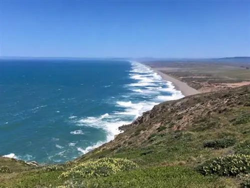 Снято с помощью объектива Boost в узкой перспективе.