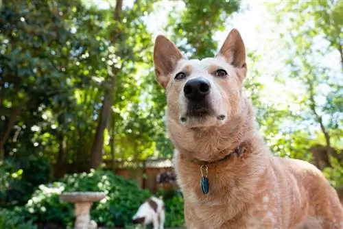 Образец фотографии Sigma 16-28mm f/2.8 DG DN Contemporary.