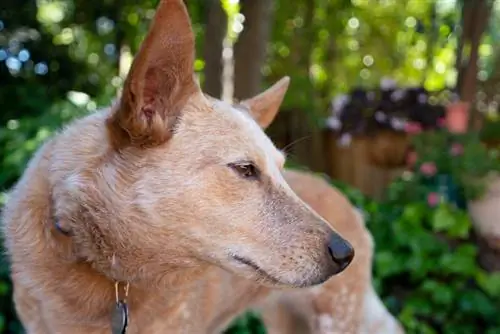 Образец фотографии Sigma 16-28mm f/2.8 DG DN Contemporary.