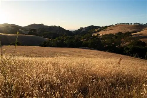 Образец фотографии Sigma 16-28mm f/2.8 DG DN Contemporary.