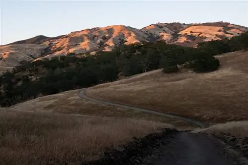 Образец фотографии Sigma 16-28mm f/2.8 DG DN Contemporary.