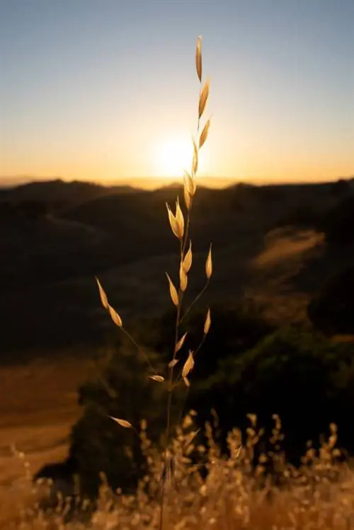 Образец фотографии Sigma 16-28mm f/2.8 DG DN Contemporary.