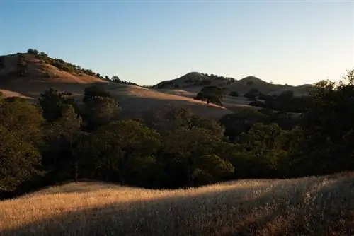 Образец фотографии Sigma 16-28mm f/2.8 DG DN Contemporary.