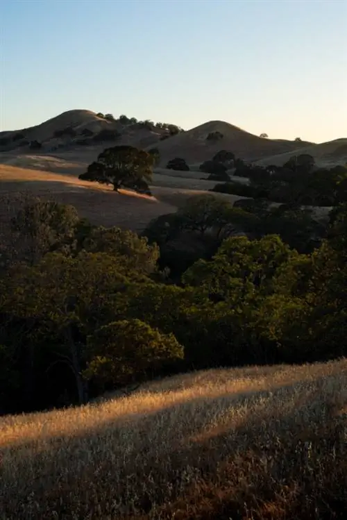 Образец фотографии Sigma 16-28mm f/2.8 DG DN Contemporary.