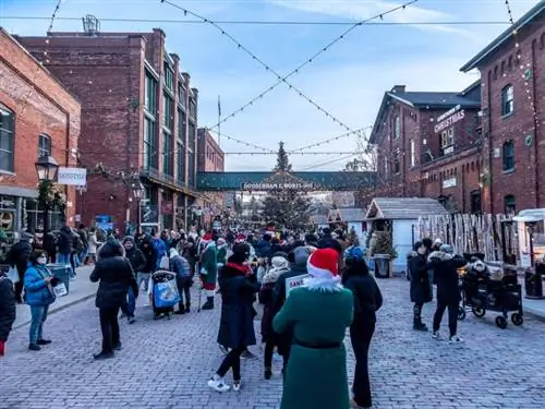 Обзор Fjorden Grip