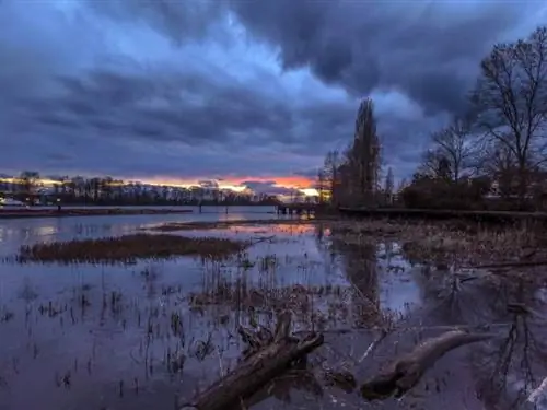 Виво Х90 Про