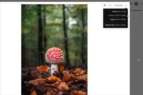 Изображение