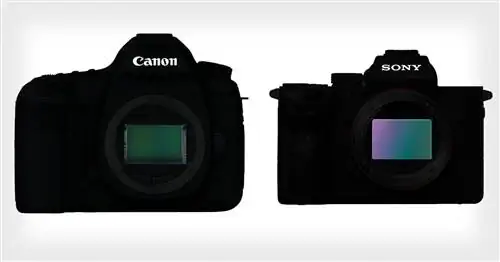 Я перешёл с Canon на Sony 4 года назад. Вот 8 вещей, которые я узнал