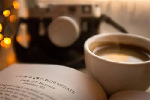 Даже изучение камеры всегда на заднем плане. Фуджи х100с. Leica M3 на заднем плане.