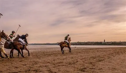 Поло на Вест-Сэндс. Фуджи Х100С.