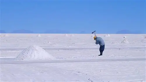 'Мы не едим литий и батарейки': почему Южная Америка страдает, несмотря на изобилие ресурсов