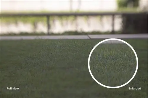 Фотограф разработал линзы, напечатанные на 3D-принтере, которые стоят менее 15 долларов.