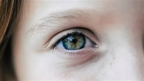 Дальтонизм у детей можно полностью вылечить, показало новаторское исследование