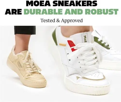 кожаная обувь на растительной основе моэа