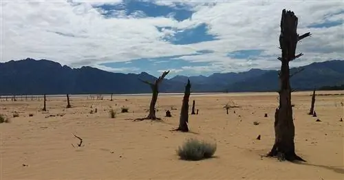 Что происходит, когда воды становится мало?