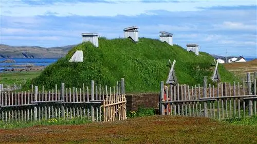 Викинги опередили Христофора Колумба и добрались до Америки на 500 лет