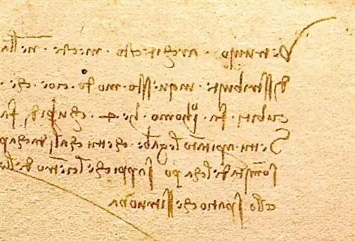 25 упражнений для мозга, которые сделают вас умственным тяжеловесом