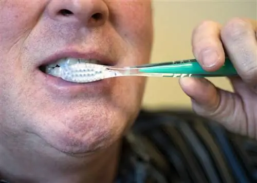 25 упражнений для мозга, которые сделают вас умственным тяжеловесом