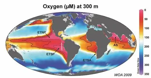 Флот роботов обнаружил самую большую мертвую зону в мире