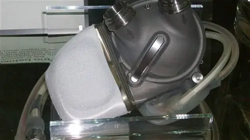 Искусственные сердца: могут ли они быть ключом к бессмертию?