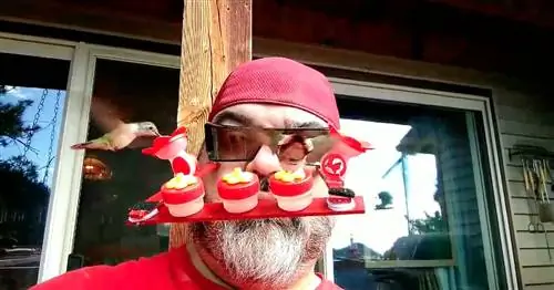 Мужчина из Колорадо создал носимое устройство для кормления колибри