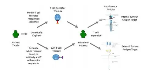 Redditor публикует сумку с белыми вещами, которые вылечат ее рак, вот что внутри